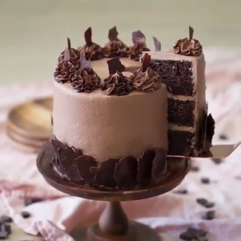 The Most Amazing Chocolate Cake You'll Ever Have -   18 cake Chocolate recette ideas