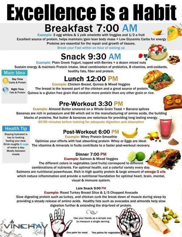 14 diet Food schedule ideas