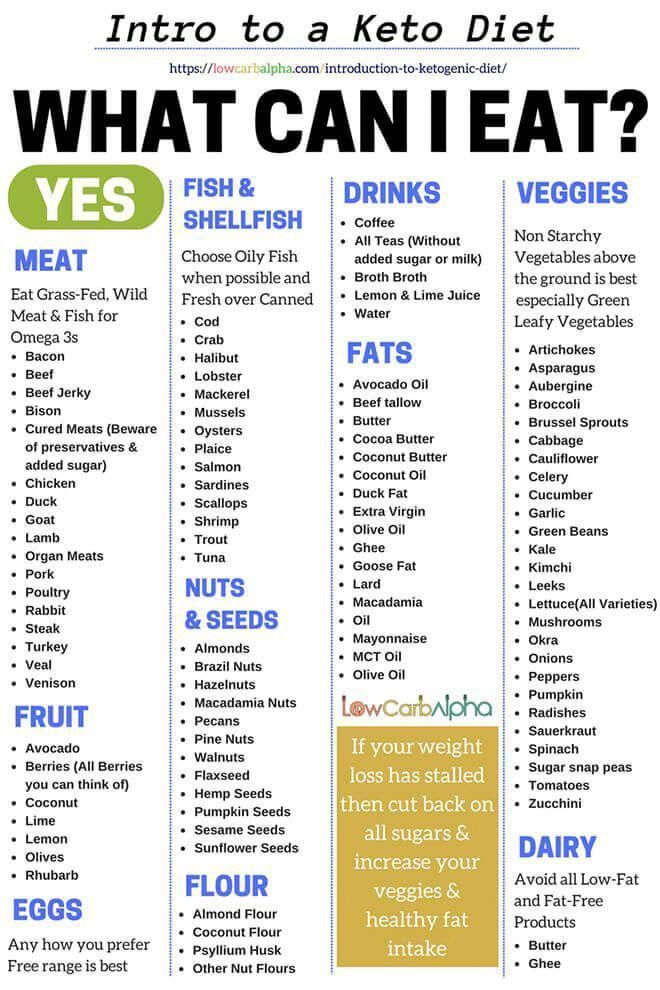 Starting a Ketogenic Plan for Weight Loss - What you Need to Know -   14 diet Food schedule ideas