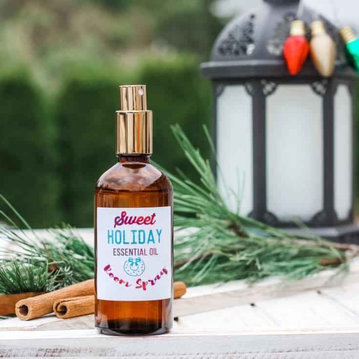 DIY Cinnamon Air Freshener with Essential Oils -   17 holiday Essentials air freshener ideas