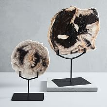 Petrified Wood Object on Stand -   17 home accessories Wood inspiration ideas