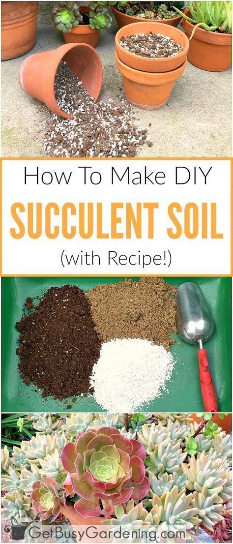 How To Make Your Own Succulent Soil (With Recipe!) -   17 planting for pots ideas