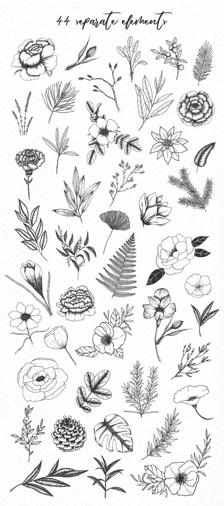 Botanical illustrations pack -   17 plants Illustration minimalist ideas