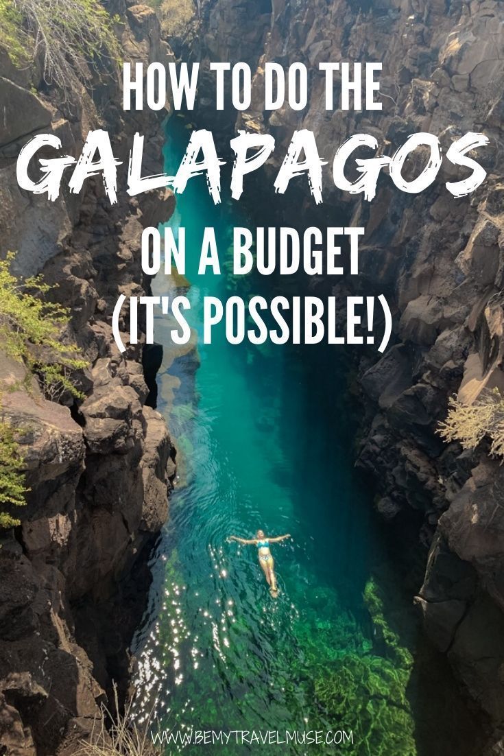 How to Do the Gal?pagos on a Budget -   19 travel destinations Budget adventure ideas