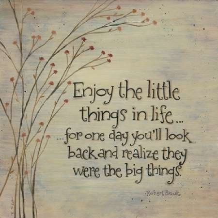 Enjoy the Little Things Canvas Art - Karen Tribbet (24 x 24) - Walmart.com -   12 planting Quotes sad ideas