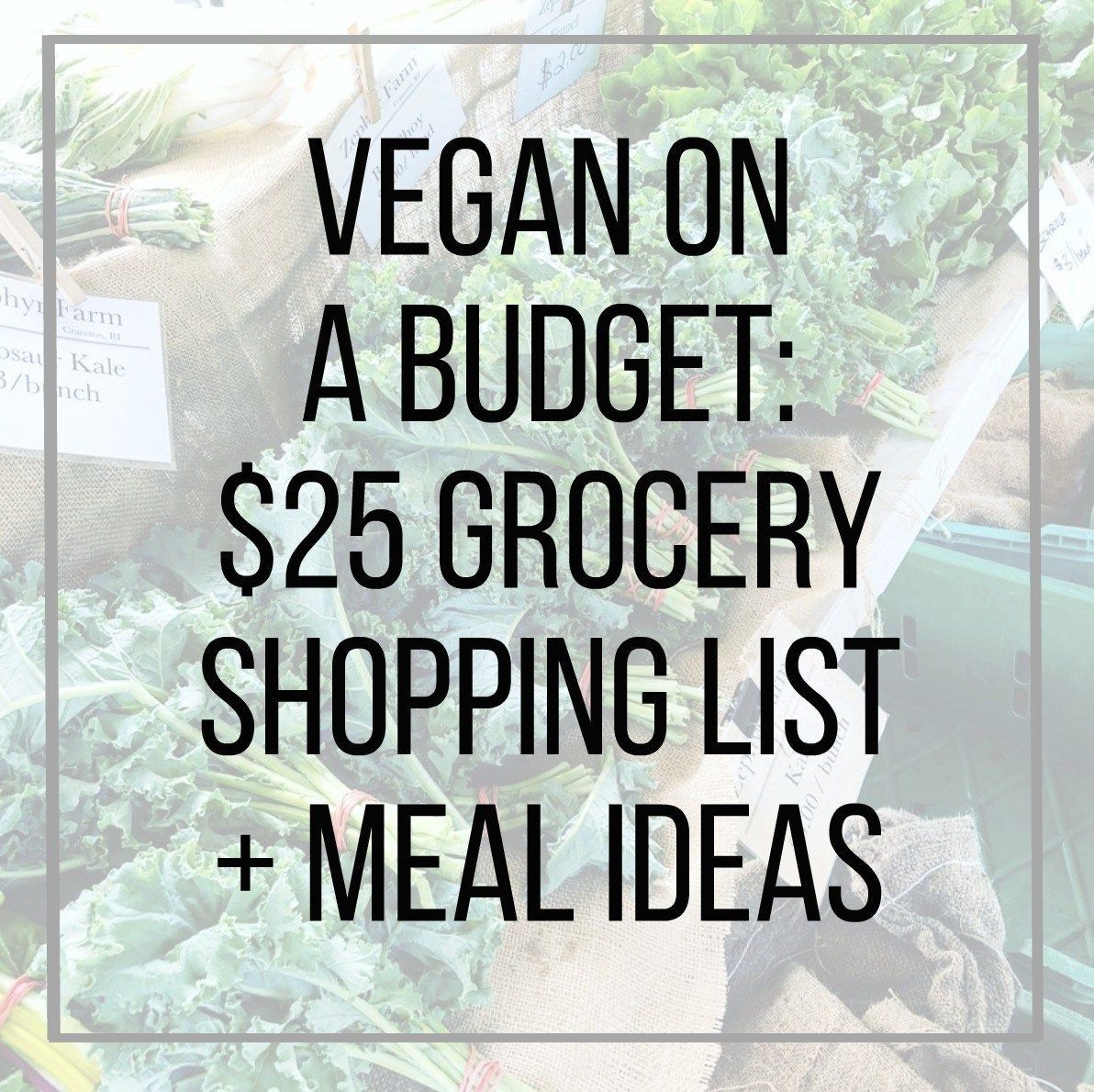 Vegan on a Budget: $25 Grocery Shopping List + Meal Ideas | The Friendly Fig -   14 healthy recipes On A Budget cleanses ideas
