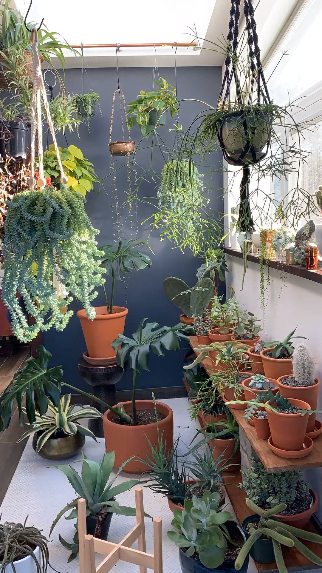A sacred space for self-care -   15 green planting Room ideas