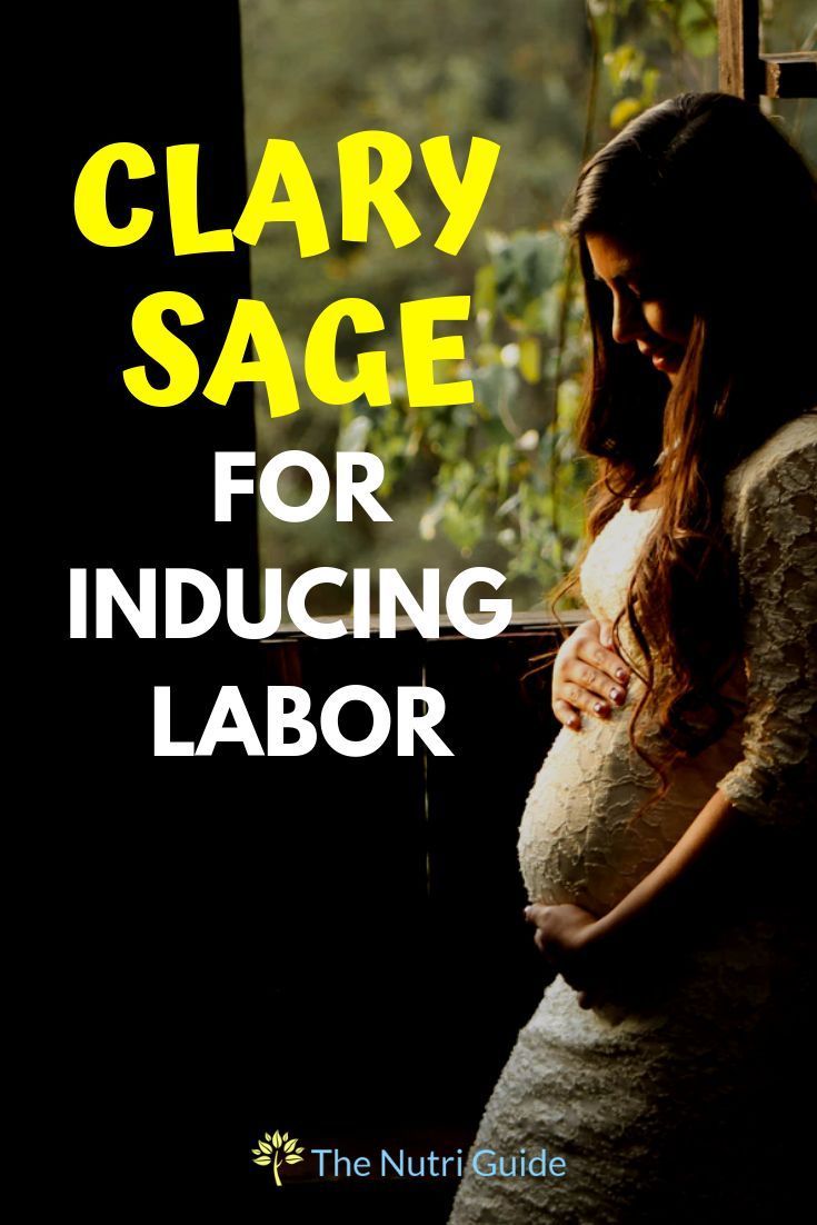Clary Sage for Labor- Naturally Induce Labor? Stimulate Oxytocin -   17 healthy recipes For Pregnancy young living ideas