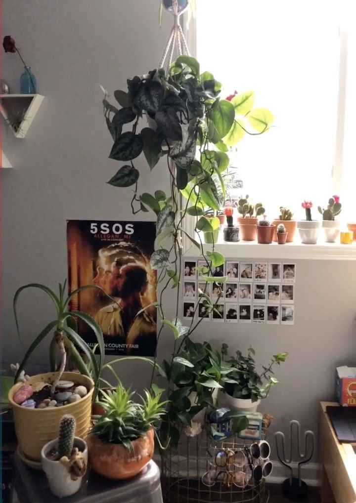 Aesthetic roomвњЁ -   8 cozy plants Room ideas
