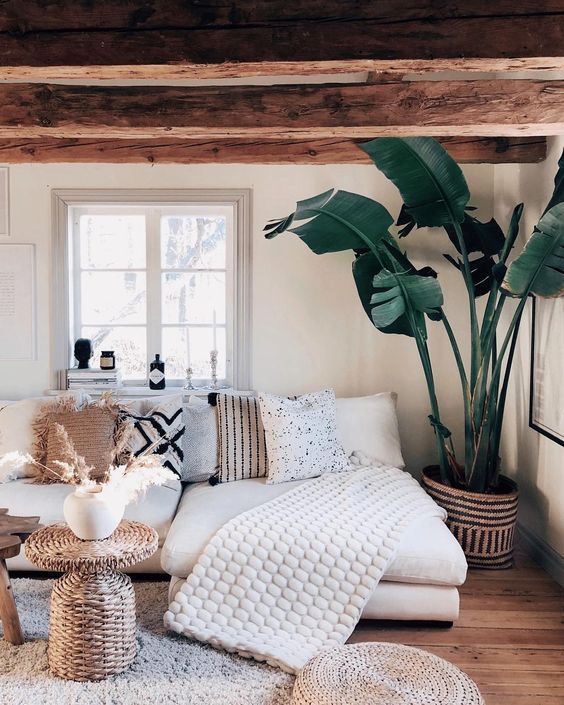 10 Cozy Homes To Inspire Your Inner Homebody -   8 cozy plants Room ideas
