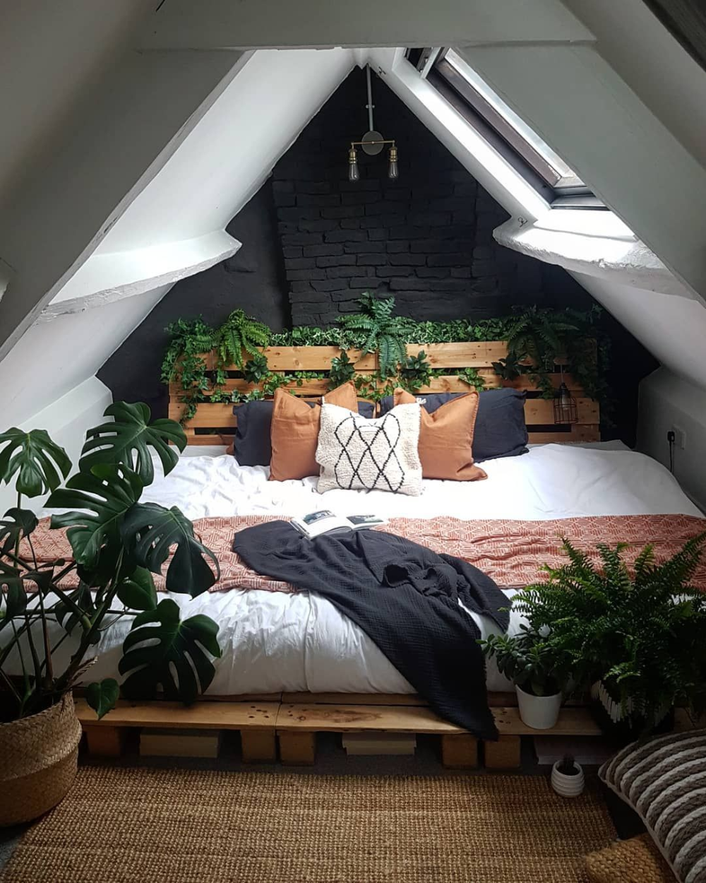 8 cozy plants Room ideas