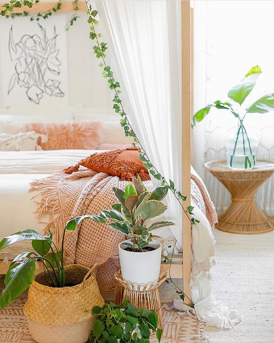 Instagram -   8 cozy plants Room ideas