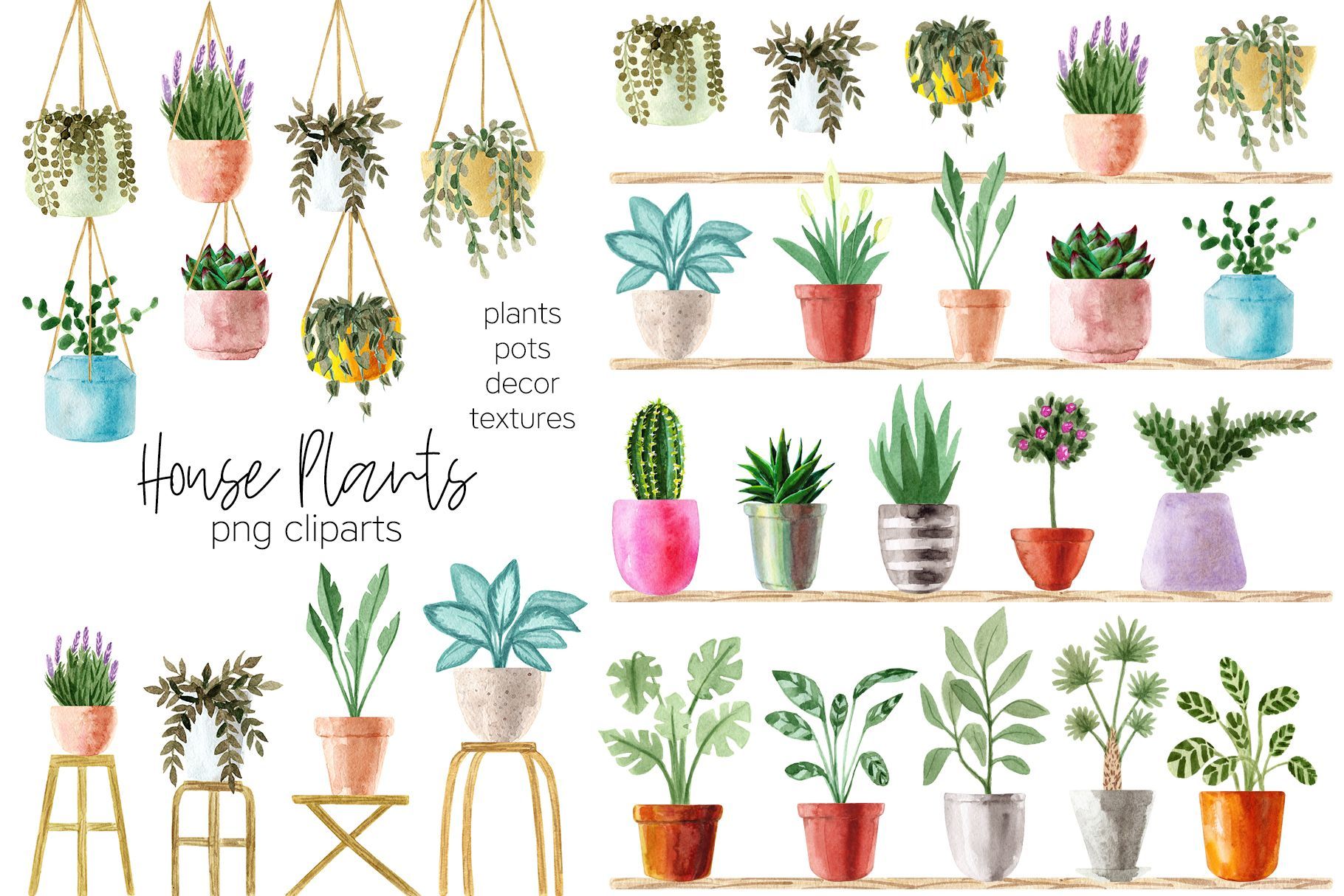Watercolor House Plants Patterns (250752) | Patterns | Design Bundles -   15 planting Indoor drawing ideas