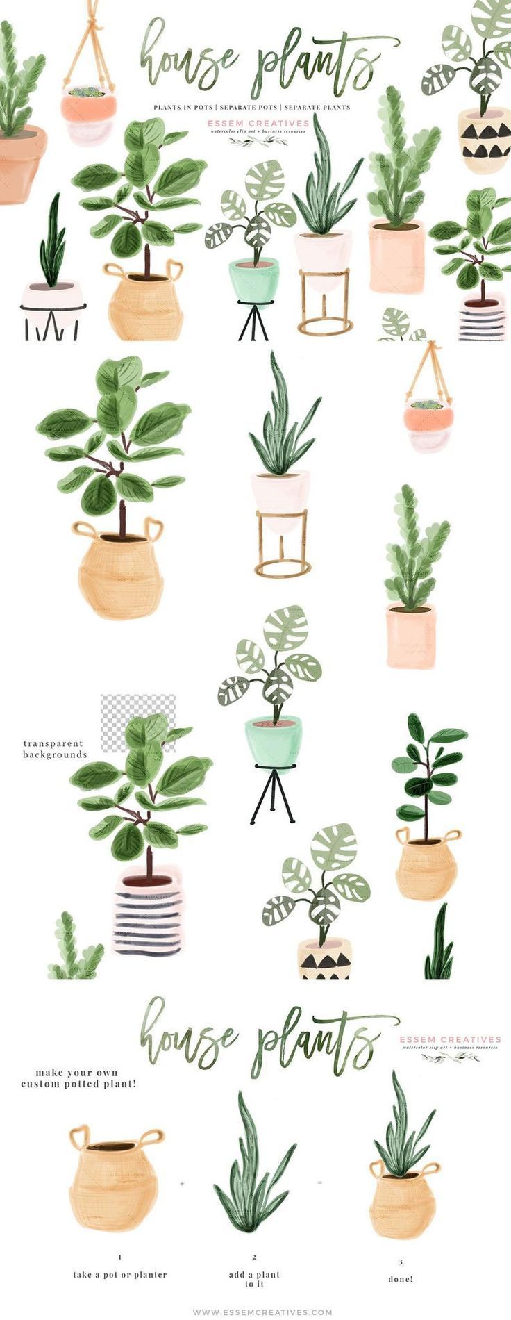 Watercolor House Plants Clip Art, Indoor Plants Potted Plant Clipart, Cactus Succulent, Ceramic Planter Fiddle Leaf Fig Monstera Rubber tree -   15 planting Indoor drawing ideas