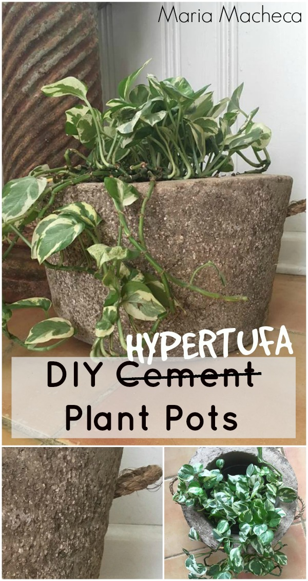 DIY HYPERTUFA PLANT POTS -   16 repurpose plants Potted ideas