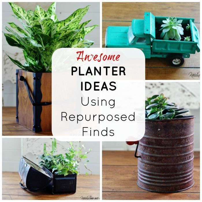 16 repurpose plants Potted ideas