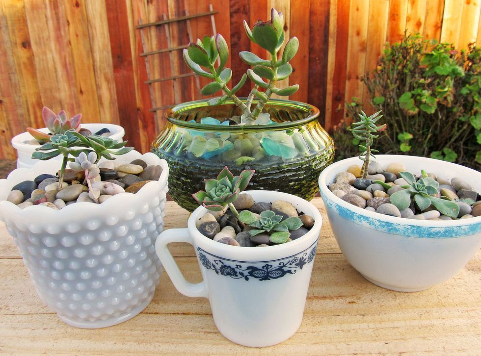 The Most Ingenious Ways to Repurpose Old Junk -   16 repurpose plants Potted ideas