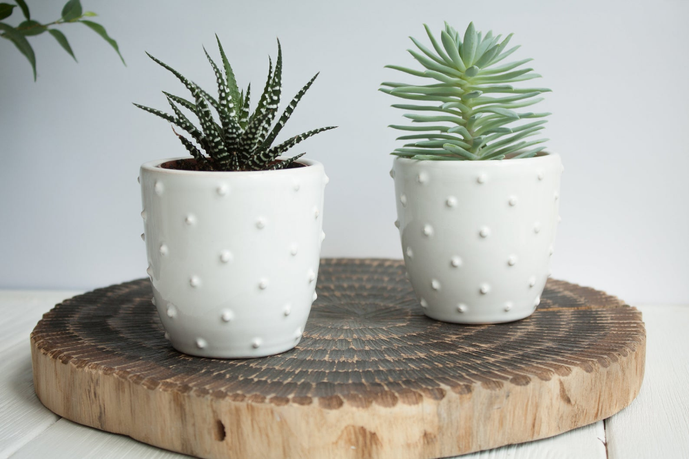 Set of 2 white ceramic planters, Succulent Pots, Small planters, Succulent Planter, Plant Holder, Cactus Pot, Modern Mini Planter, Plant Pot -   16 repurpose plants Potted ideas