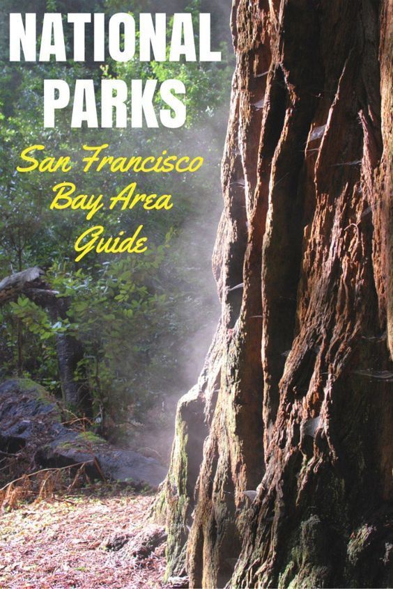 National Parks in the San Francisco Bay Area: Where To Take Your Kids - Trips With Tykes -   16 travel destinations California bay area ideas