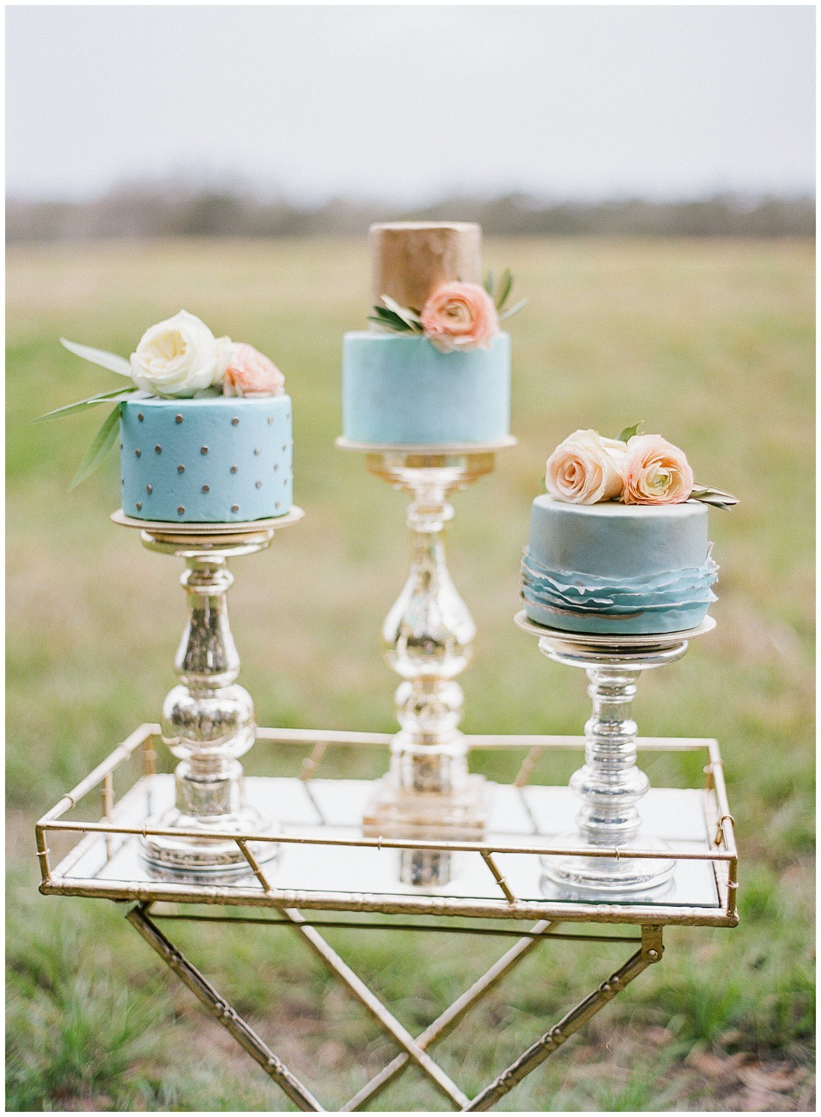 Serenity and Rose Quartz Wedding Inspiration - Tampa Bay Wedding Photographer - The Ganeys | Fine Art Film Wedding Photographers -   19 cake Mini wedding ideas
