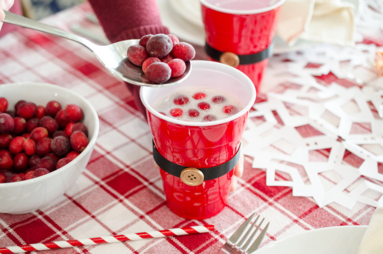 24 Top Holiday Hosting Hacks & Christmas Party Ideas -   23 hosting holiday Party ideas