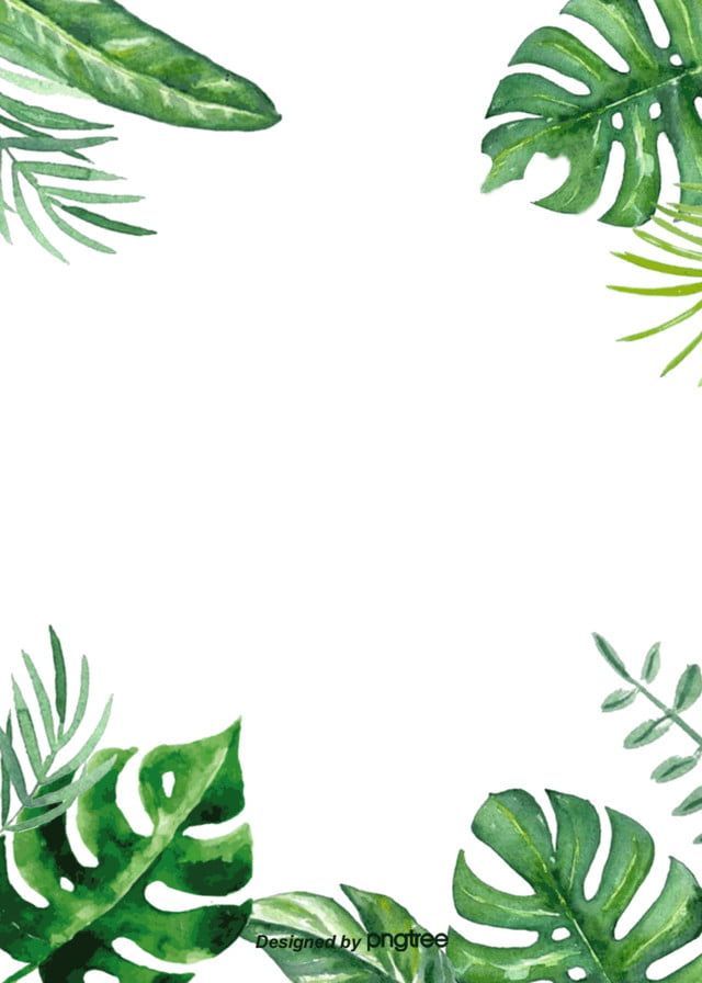Watercolor Tropical Green Plant Background -   12 plants Background painting ideas