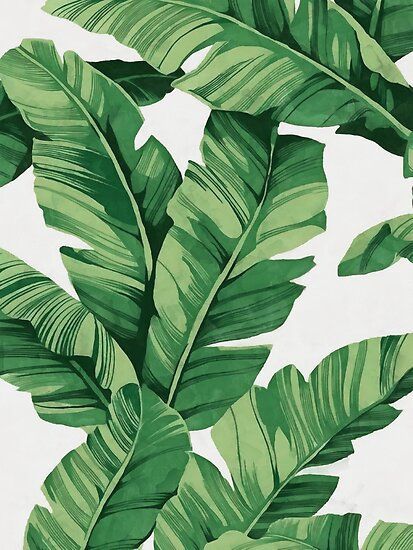 'Tropical banana leaves' Poster by CatyArte -   12 plants Background painting ideas