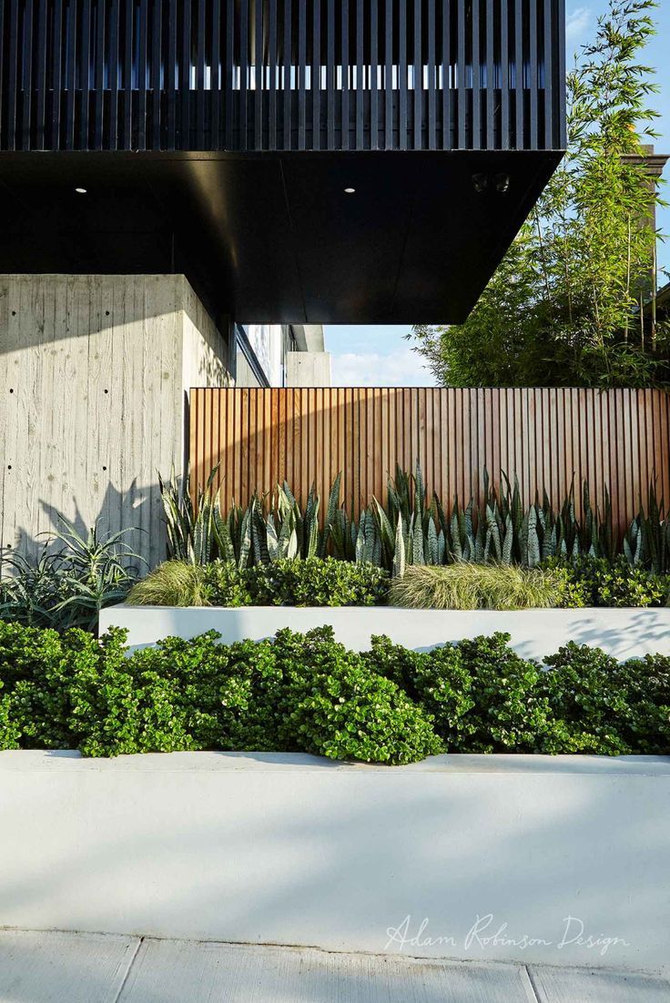 Landscape Design Leichhardt — Adam Robinson Design -   16 garden design Architecture landscaping ideas