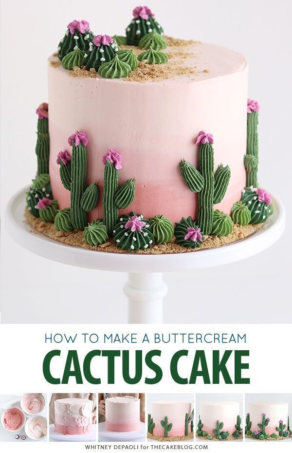 Cactus Cake | The Cake Blog -   17 sand desserts Photography ideas