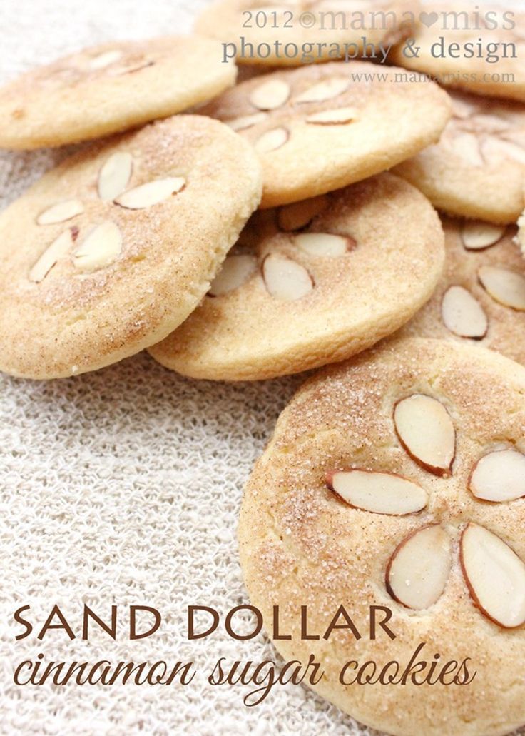 Sand Dollar Cinnamon Sugar Cookies -   17 sand desserts Photography ideas