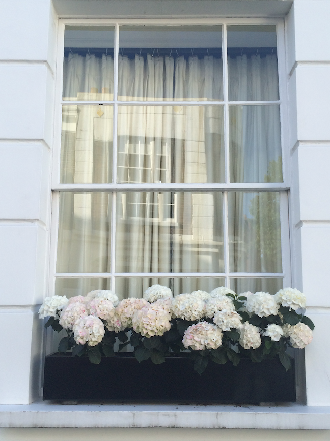 31 of the Best Window Boxes in London -   17 window planting Outdoor ideas