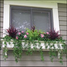 17 window planting Outdoor ideas