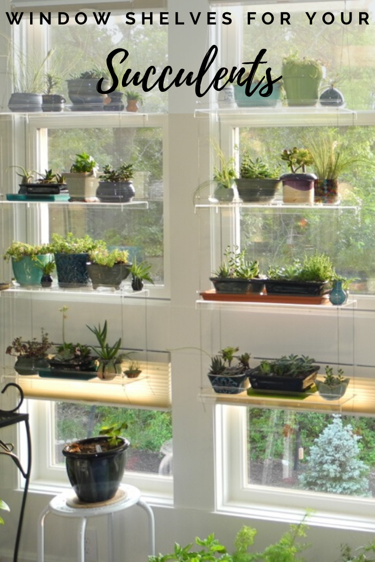 Window Shelves for Succulents -   17 window planting Outdoor ideas