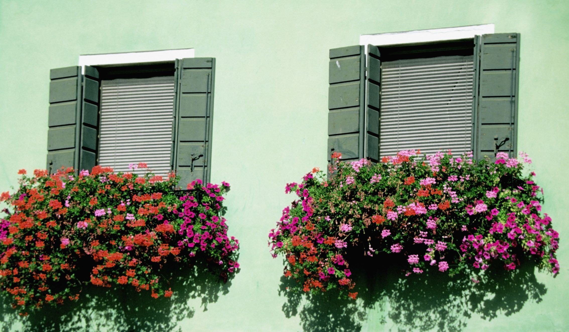 Artificial Flowers for a Window Box | eHow.com -   17 window planting Outdoor ideas