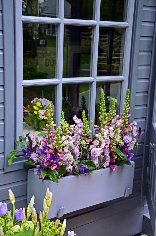 7 Tips for Beautiful Window Box Ideas - Town & Country Living -   17 window planting Outdoor ideas