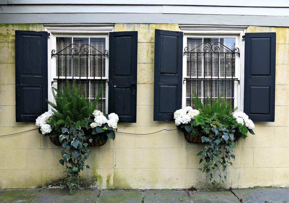 Ready for Spring: 14 Pretty Window Box Ideas -   17 window planting Outdoor ideas