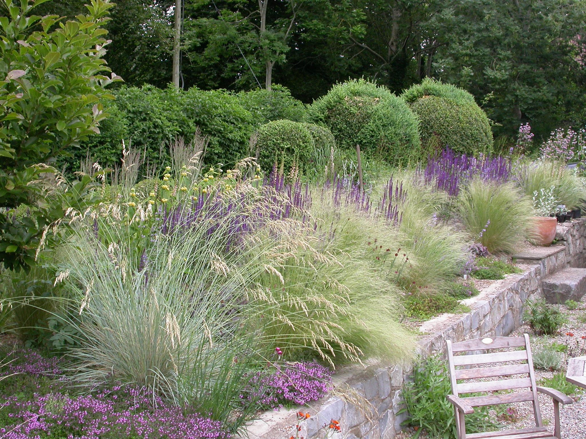 Mixed Perennial planting -   12 garden design Mediterranean grass ideas