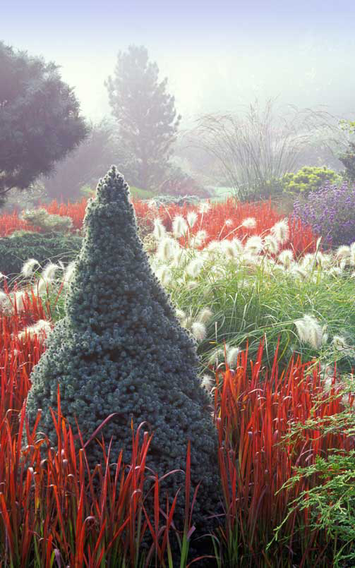 Inspirational Design | Bressingham Gardens -   12 garden design Mediterranean grass ideas