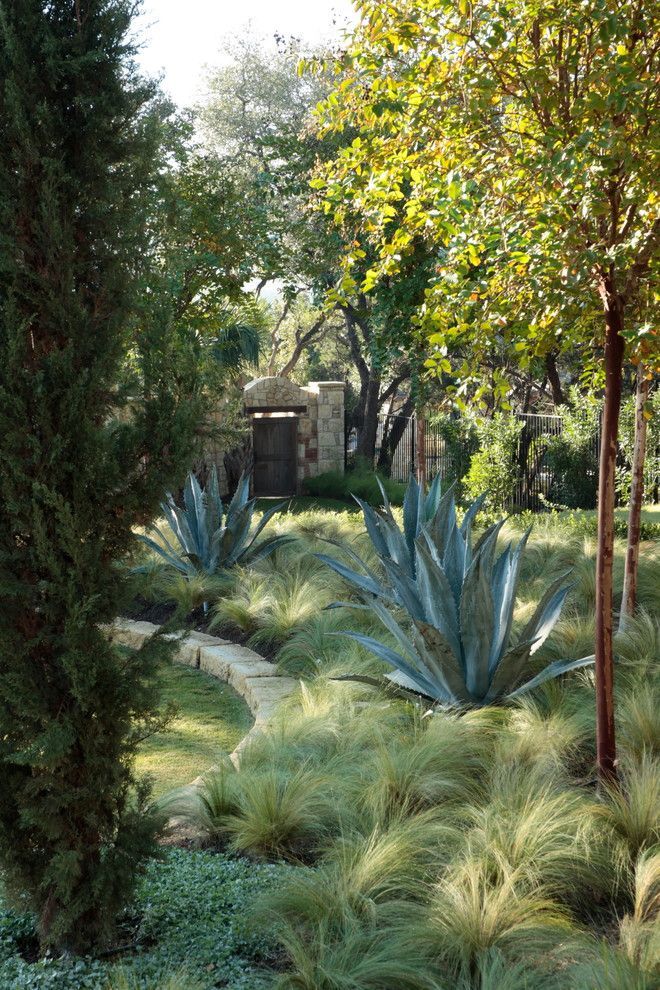 12 garden design Mediterranean grass ideas