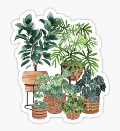 'Plant friends' Sticker by hellocloudy -   15 plants Tumblr earth ideas