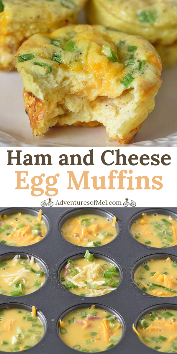 Ham and Cheese Egg Muffins - Adventures of Mel -   18 healthy recipes Simple brunch food ideas