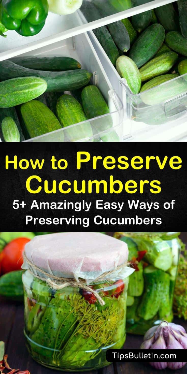 How to Preserve Cucumbers - Amazingly Easy Ways of Preserving Cucumbers -   19 cucumber recipes ideas
