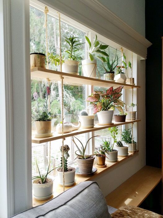 Plant Shelf -   19 plants Apartment diy ideas