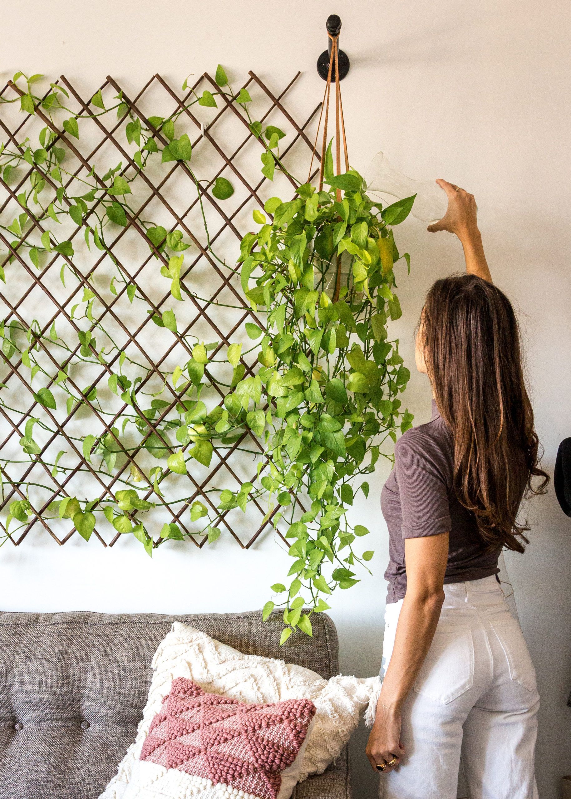 DIY Plant Wall (for under $100) - theIncogneatist -   19 plants Apartment diy ideas