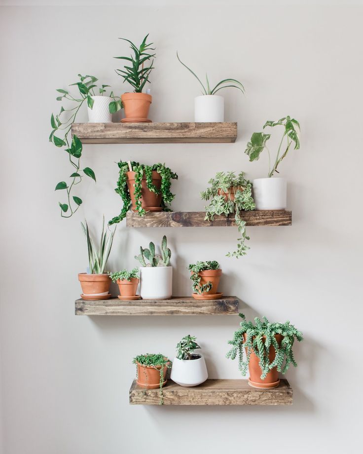 Timber Edge Floating Shelves -   19 plants Apartment diy ideas