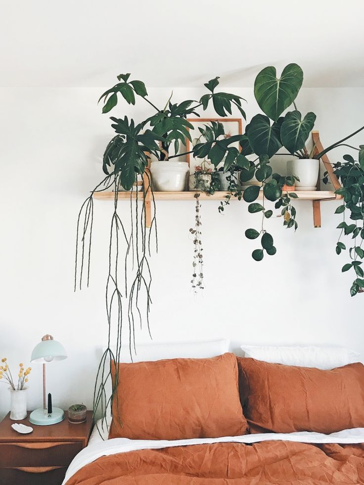 DIY bedroom plant shelf -   19 plants Apartment diy ideas