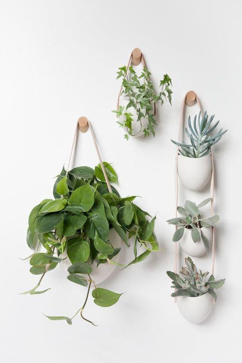 Spora — Light + Ladder -   19 plants Apartment diy ideas