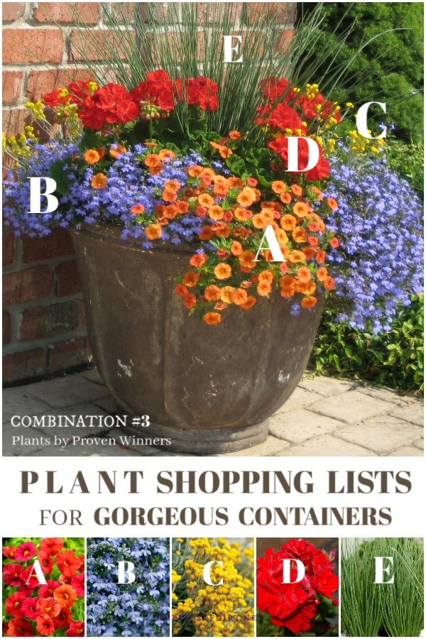 Plant Ideas for Beautiful Patio Containers | Empress of Dirt -   19 plants Beautiful planters ideas
