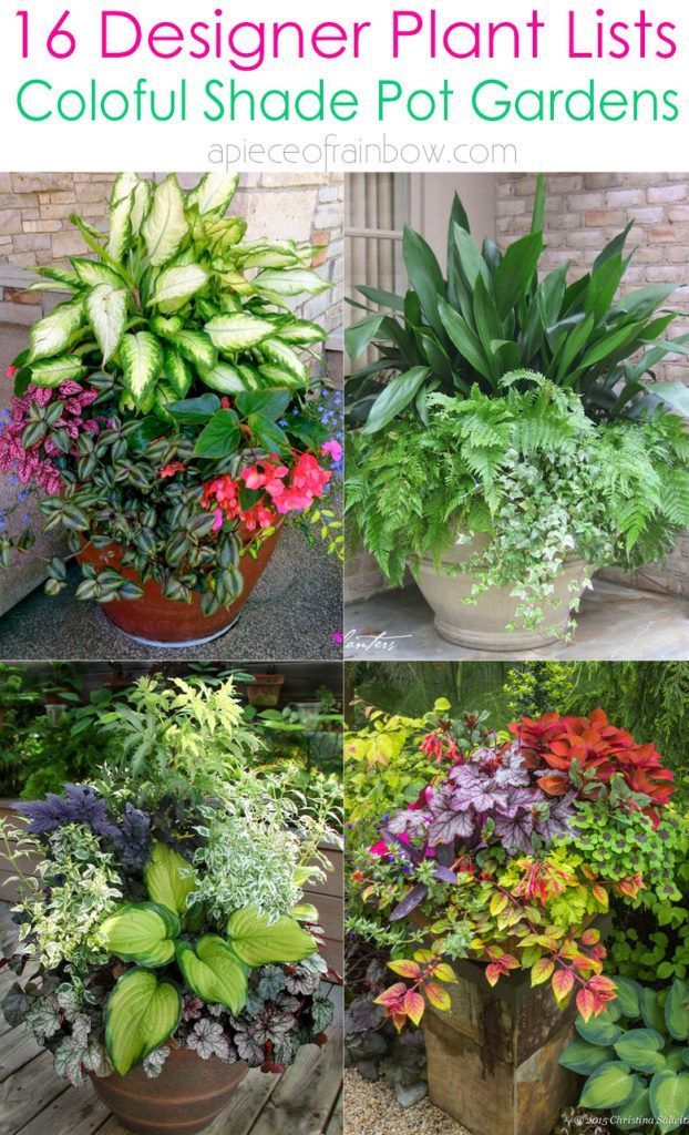 16 Colorful Shade Garden Pots & Plant Lists -   19 plants Beautiful planters ideas