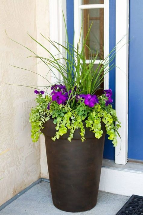 Planting A Garden Vase In 3 Easy Steps | Unsophisticook -   19 plants Beautiful planters ideas
